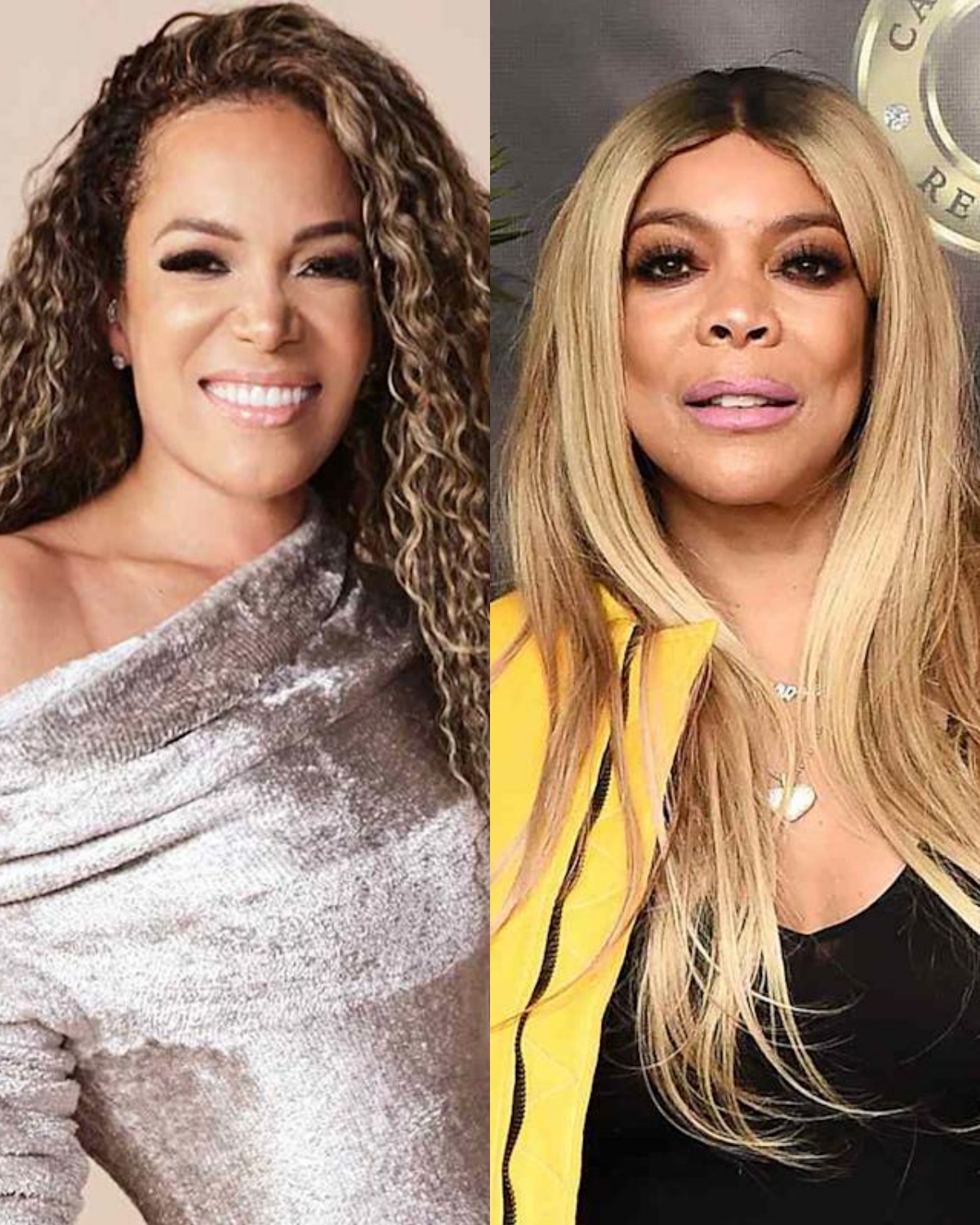 Heartbreaking’ Wendy Williams Interview The View Audience Members